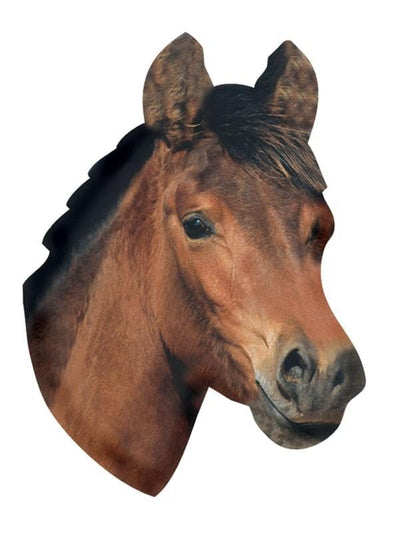 horse head magnet 
