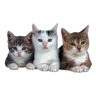 shaped note card featuring 3 photographic kittens on a white background.
