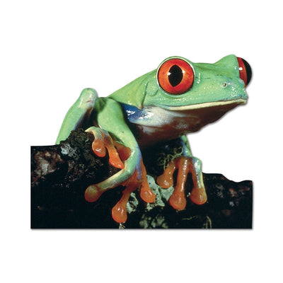shaped note card featuring photographic image of a tree frog.