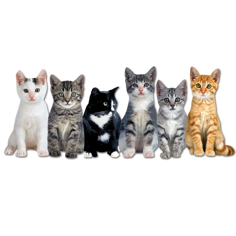 shaped note card featuring a photographic image of 6 kittens in a row.