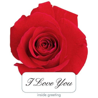 note card featuring a die cut, photo real red rose, shown with a close up of of the I Love You inside greeting, shown on white background.