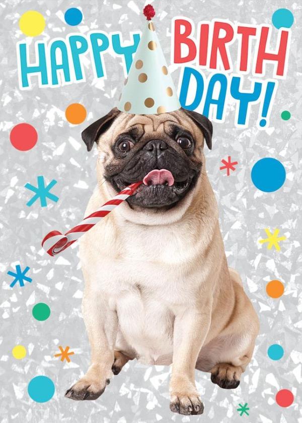 note card featuring a photo real pug on a silver patterned background with colorful polka dots and stars.