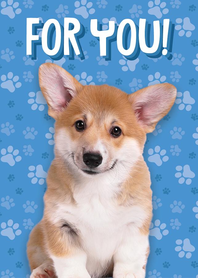 birthday card featuring a photo real puppy on a blue paw print background.