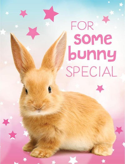 gift enclosure card featuring a photo real bunny rabbit on a pink and blue background.