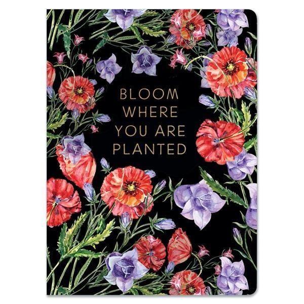 Black Floral Softcover journal notebook image shows cover featuring colorful florals on a black background with "Bloom Where You Are Planted" words.