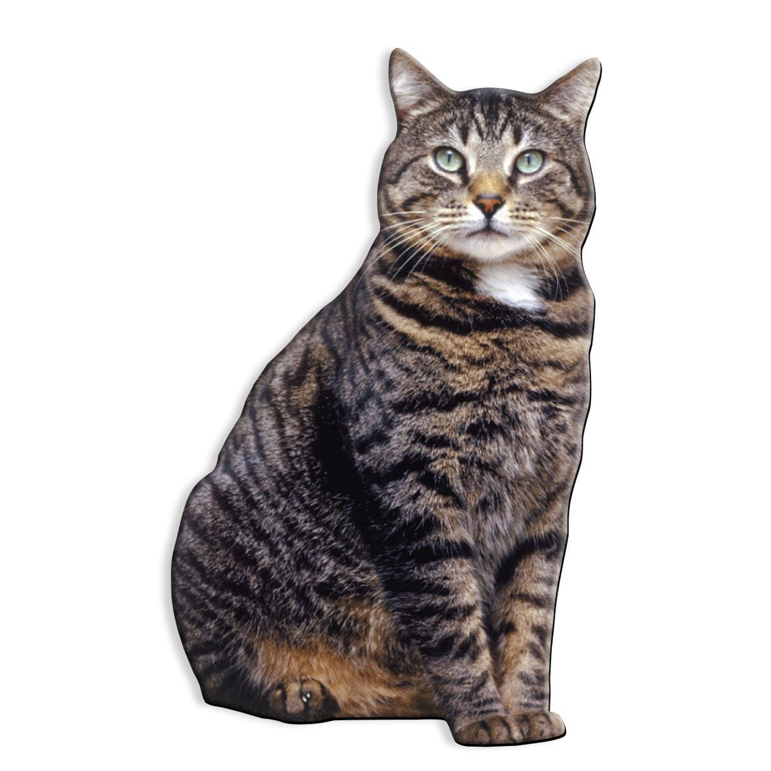 fridge magnet featuring a brown tabby cat on a solid white background.