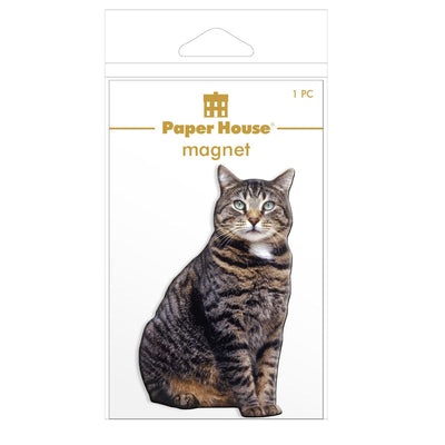 fridge magnet featuring a brown tabby cat shown in package on a white background.