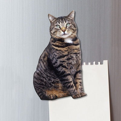 brown tabby cat fridge magnet shown on a gray metal background with a torn sheet of memo paper.