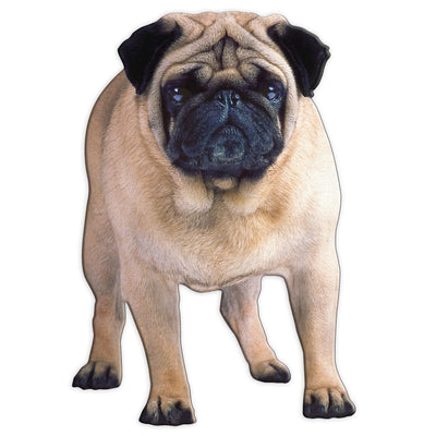 fridge magnet featuring a pug dog shown on a solid white background.