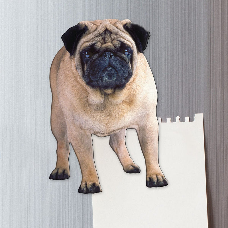 fridge magnet featuring a pug dog shown on metal surface attached to a torn sheet of memo paper.