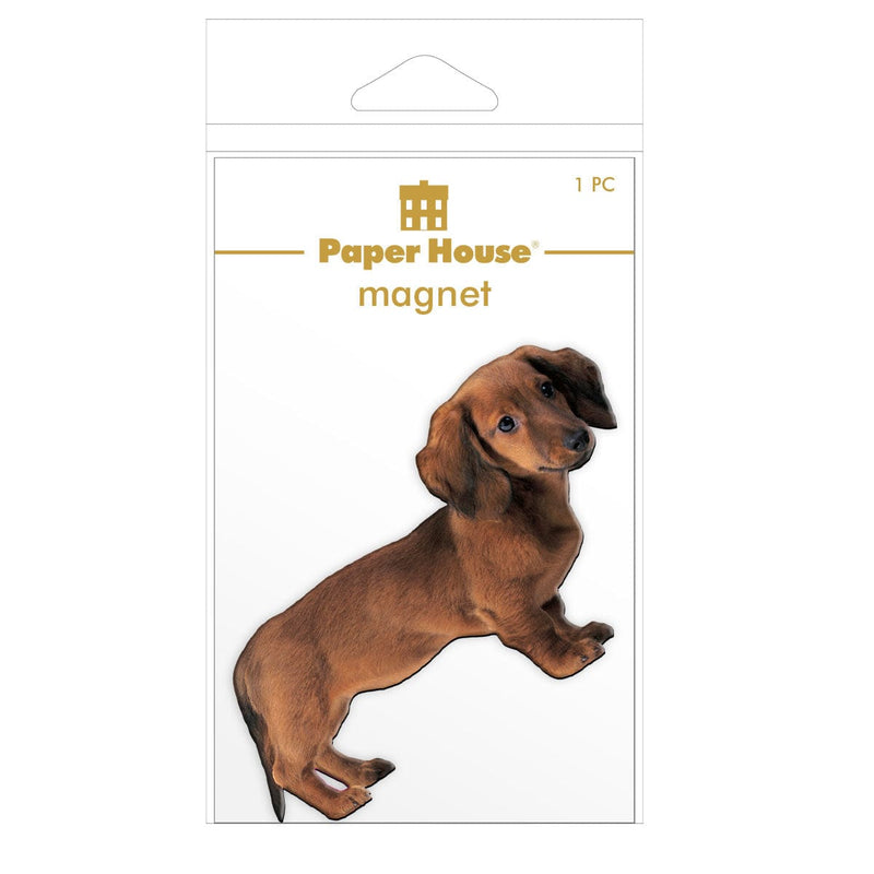fridge magnet featuring a brown dachshund in package on a white background.