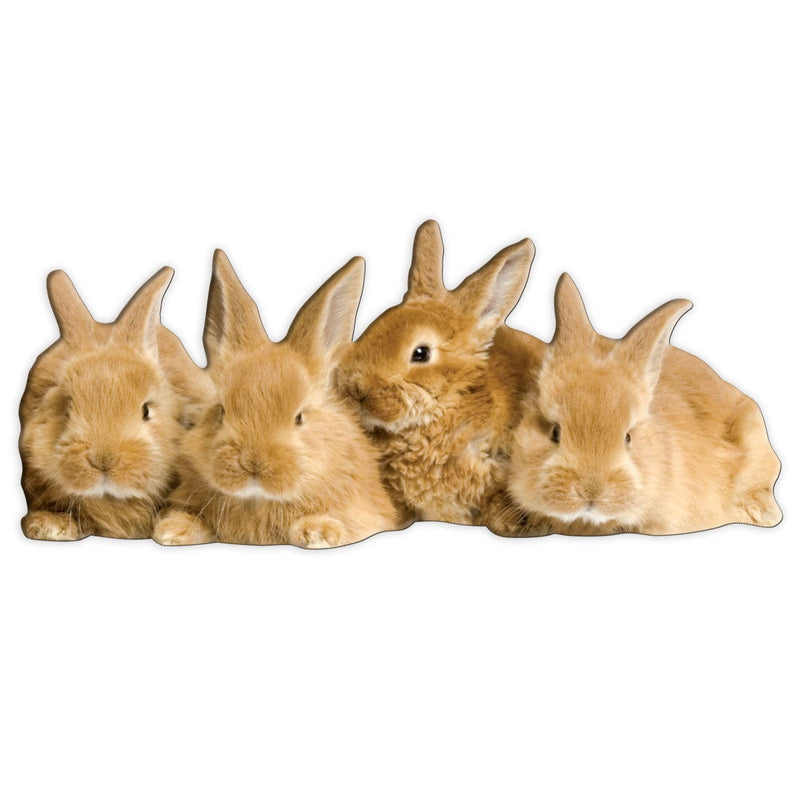 fridge magnet featuring 4 tan bunnies shown on white background