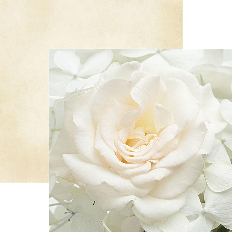 Scrapbook Paper - White Rose
