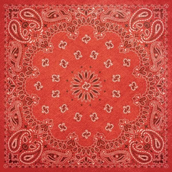 bandana double sided paper