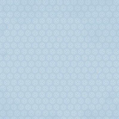 scrapbook paper featuring a light blue background with white stars in circles.