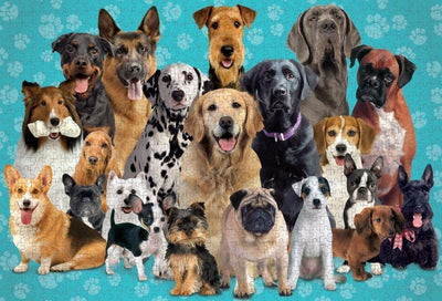 jigsaw puzzle image featuring photos of multiple photo real dogs on a blue background.