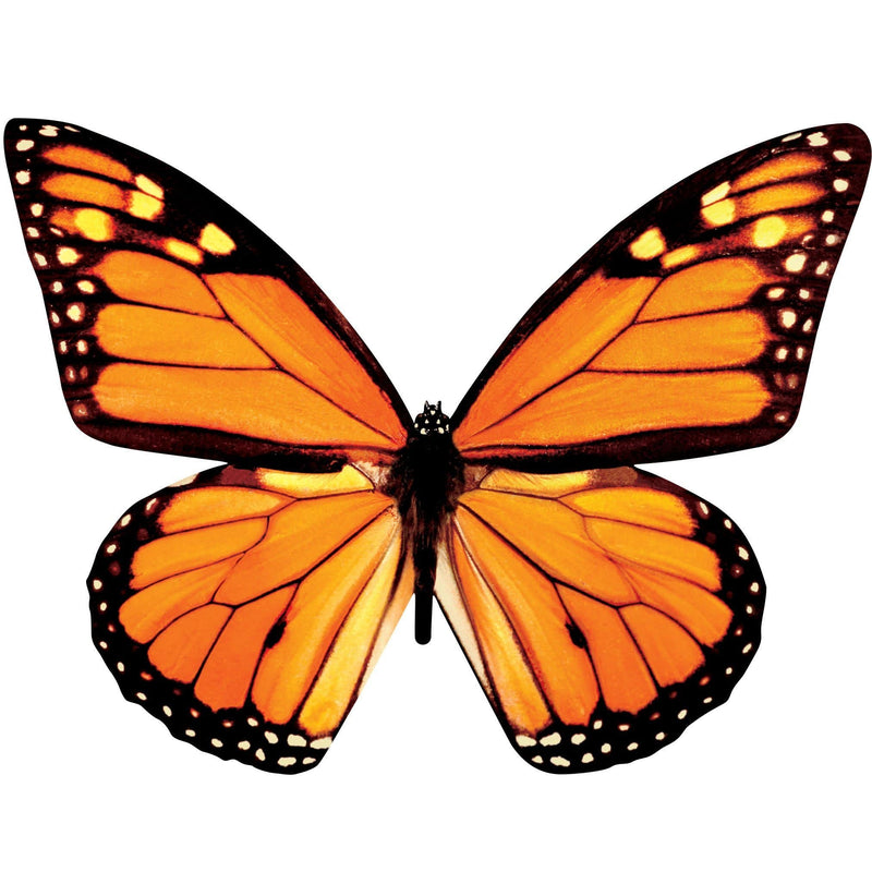 jigsaw puzzle image featuring shaped monarch butterfly.
