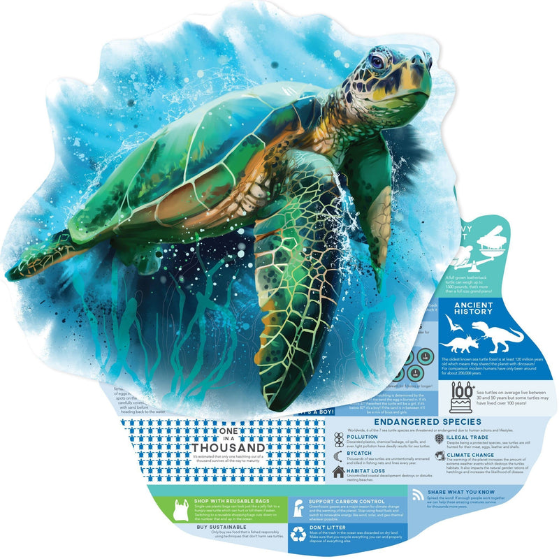 Sea Turtle jigsaw puzzle image showing shaped illustrated turtle overlapping puzzle back featuring fun facts.