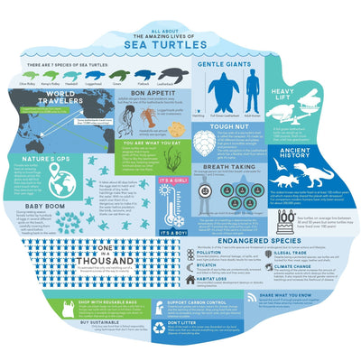 Sea Turtle jigsaw puzzle image featuring fun facts.