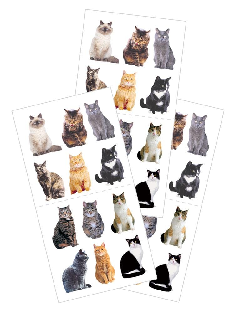 3 sheets of stickers featuring photo real cats, shown on white background.