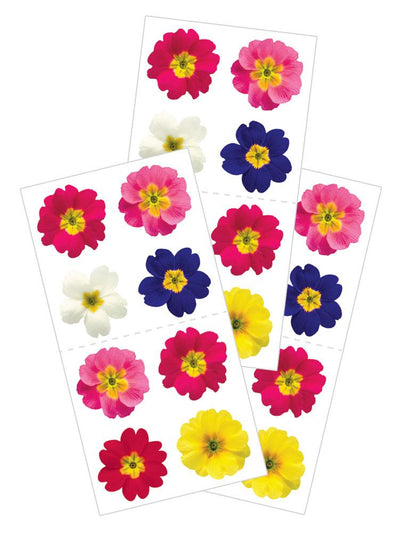3 sheets of stickers featuring colorful, photo real primroses, shown on white background.