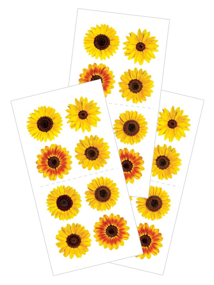 3 sheets of stickers featuring photo real sunflowers, shown on white background.