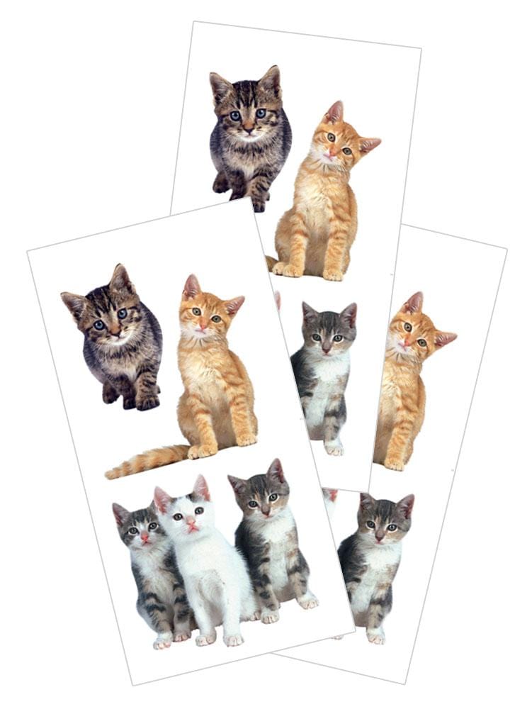 3 sheets of photo real stickers featuring kittens in various poses, shown on white background.