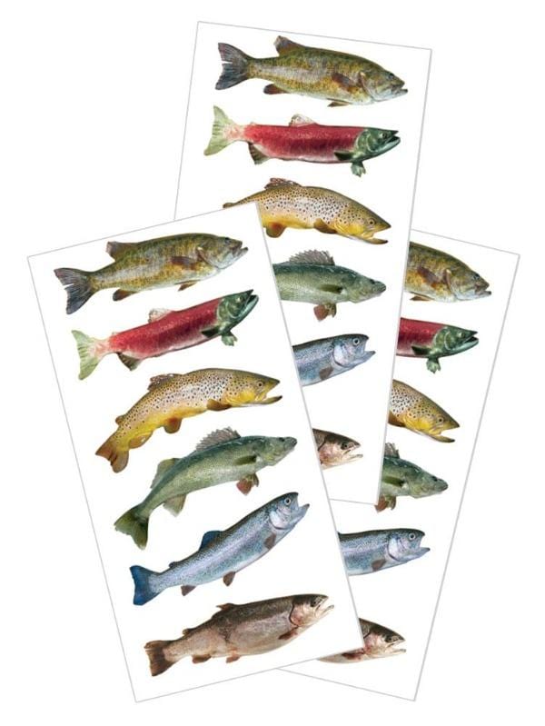 3 sheets of stickers featuring colorful freshwater fish, shown on white background.