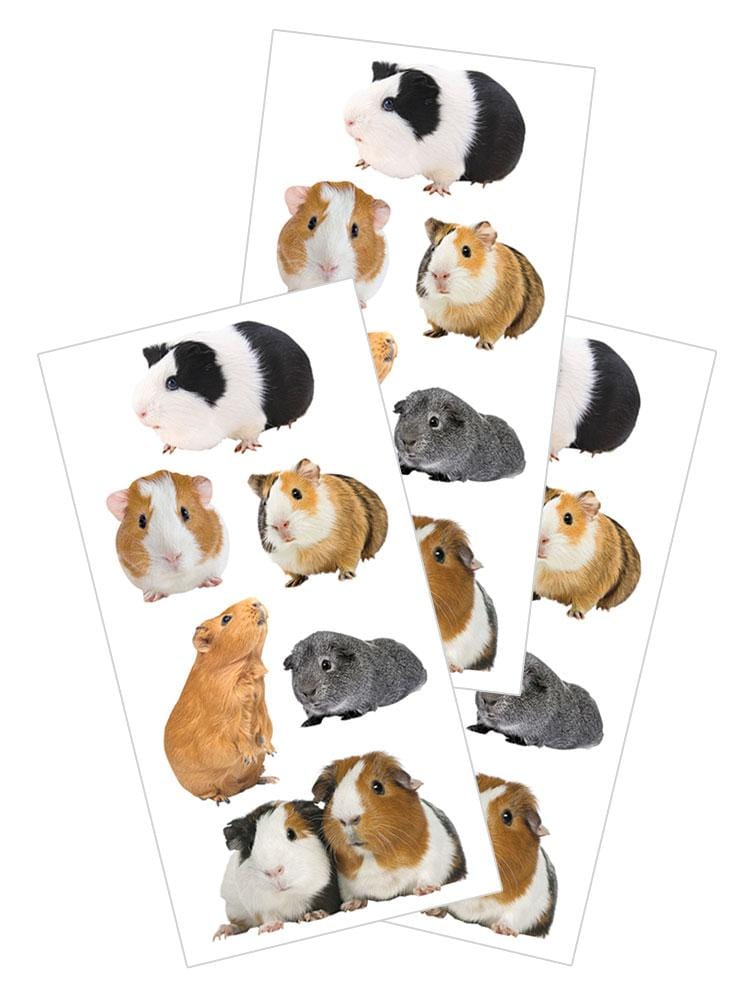 3 sheets of stickers featuring photo real Guinea Pigs, shown on white background.