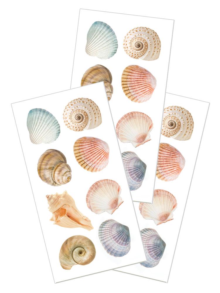 3 sheets of stickers featuring photo real seashells, shown on white background.