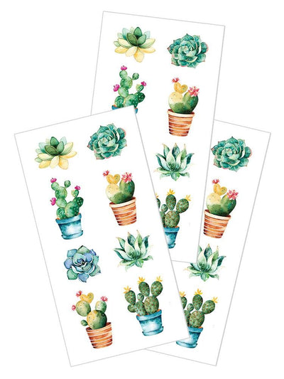 3 sheets of stickers featuring illustrated succulents, shown on white background.