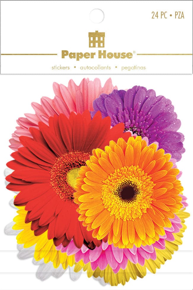 An assortment of scrapbook stickers featuring colorful daisies are shown in package.