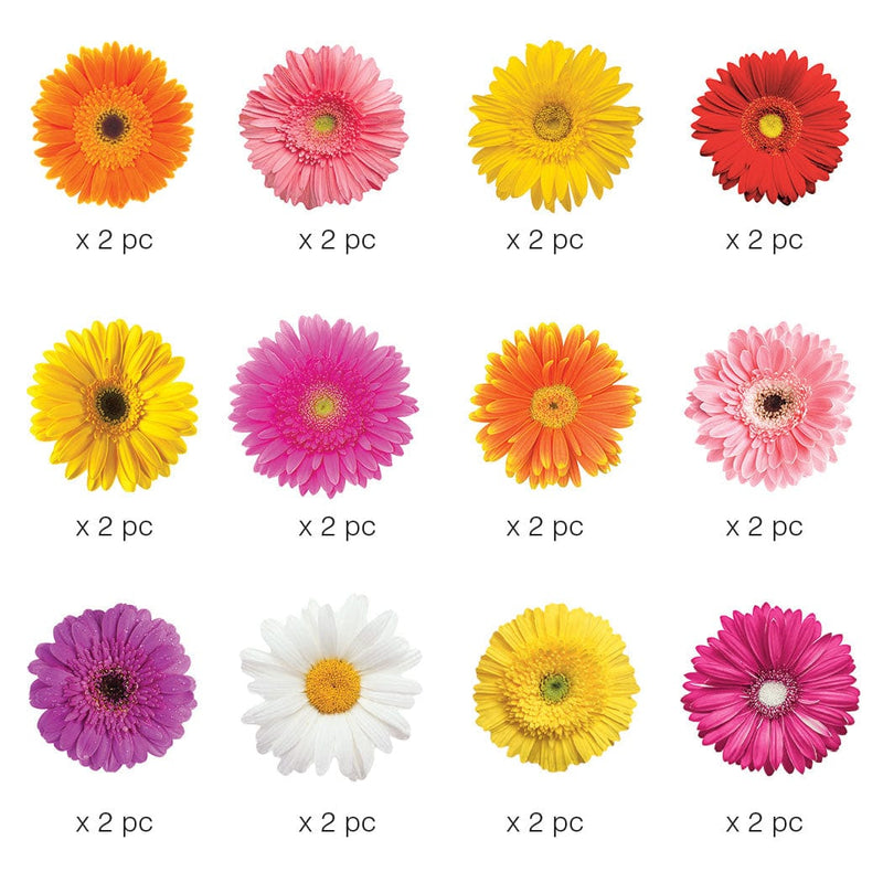 Twelve scrapbook stickers are shown featuring colorful daisies on a white background.