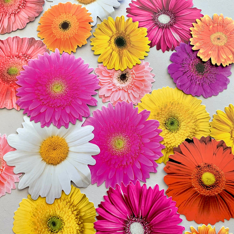 an assortment of scrapbook stickers featuring colorful die cut daisies, shown scattered on gray background.