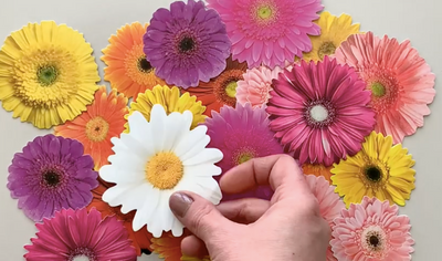 female hand placing an assortment of scrapbook stickers featuring colorful, die cut daisies on a gray background.