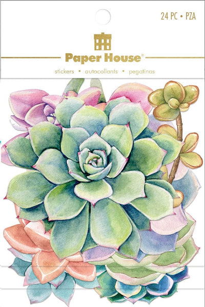 An assortment of scrapbook stickers featuring colorful illustrated succulents shown in package.