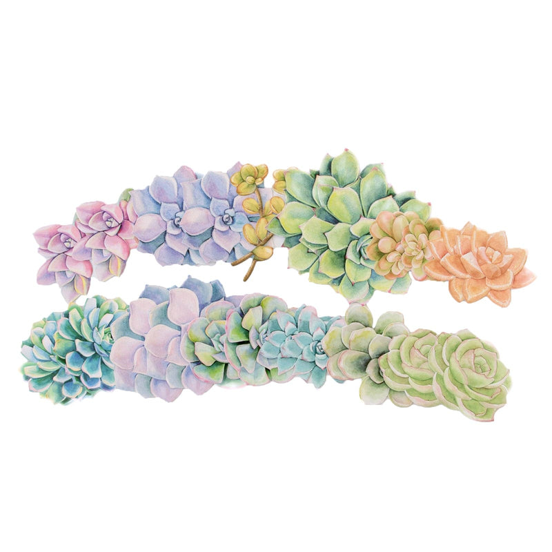 An assortment of scrapbook stickers are shown fanned out, featuring colorful illustrated succulents on a white background.