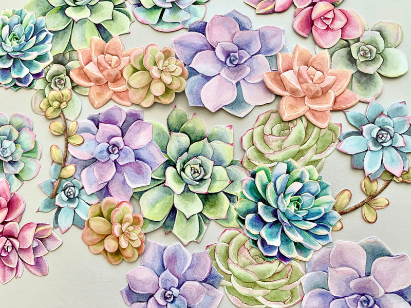 An assortment of scrapbook stickers featuring colorful illustrated succulents shown on gray background.