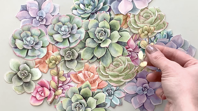 hands display an assortment of colorful illustrated succulents and places them on gray background.