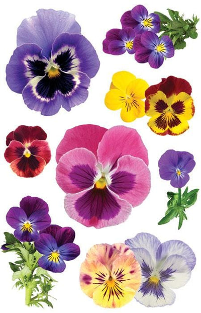 3D scrapbook stickers featuring a variety of colorful pansies.