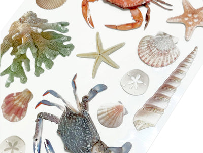 Close up of 3D scrapbook stickers featuring a variety of photoreal sea shells, starfish, crabs, and coral