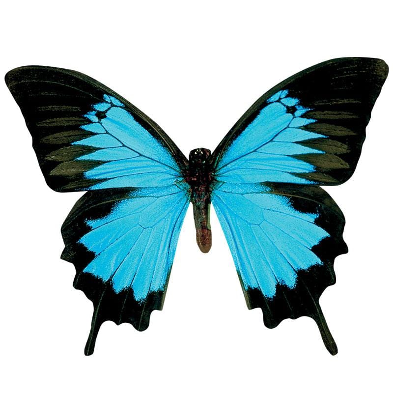 Shaped laptop sticker featuring a photographic, blue and black butterfly.