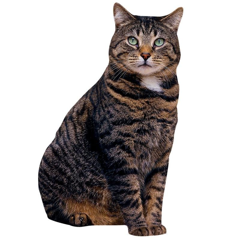 Photo real image of a brown tabby cat on a white background.