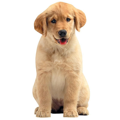 Shaped laptop sticker featuring a photograph of a golden retriever puppy.