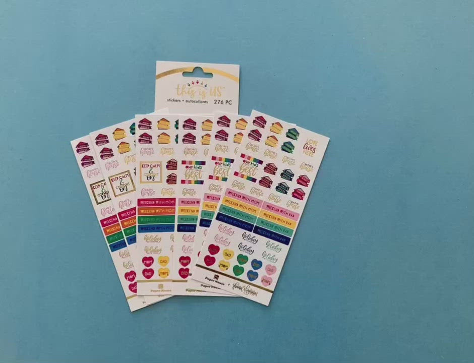 female hands display 6 sheets of planner stickers featuring co-parenting functional stickers and shows close up of 2 individual stickers.