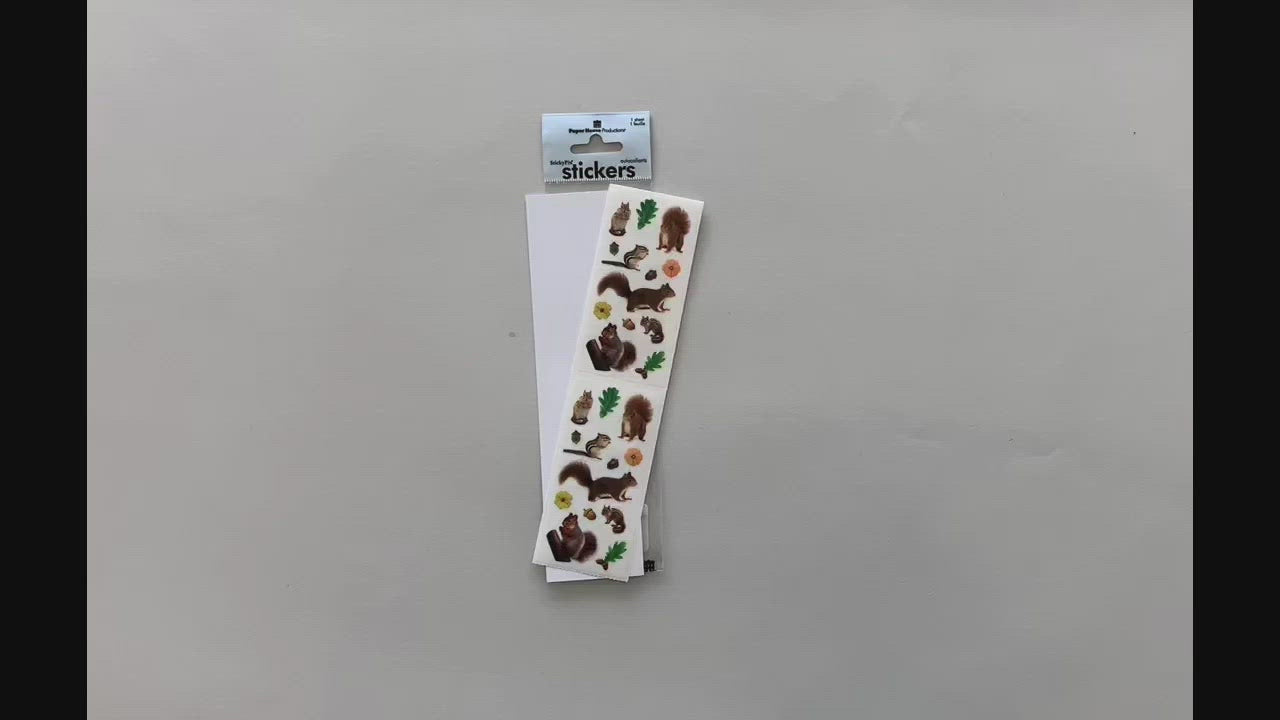 female hands pick up and show in detail, stickers featuring chipmunks and squirrels.