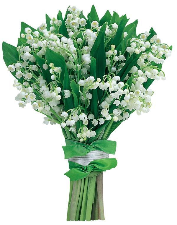 die cut note card featuring a photo real bouquet of lily of the valley, shown on white background.