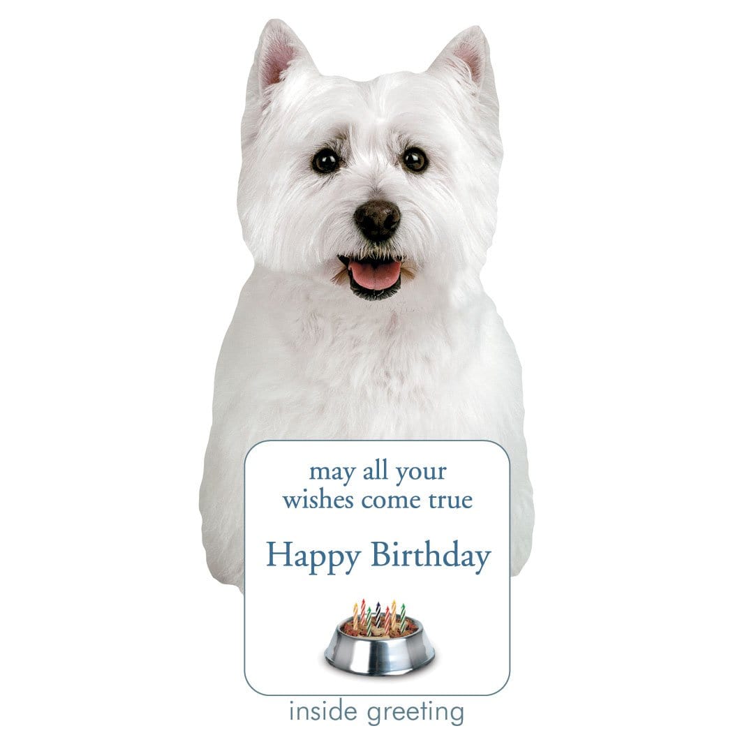 CDC01-0139E - Westie Birthday Diecut Card - White Westie dog holding a birthday greeting card with cake bowl design and "Happy Birthday" text