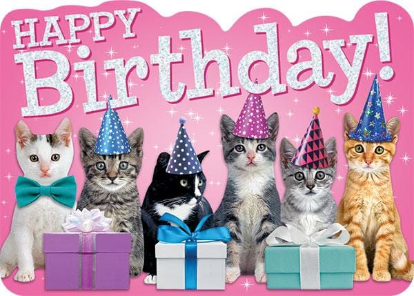 birthday note card featuring photo real kittens in party hats on a pink background with silver foil accents.