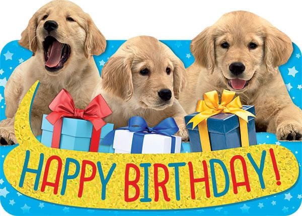 CF-7020E - Puppies Foil Card - Three golden Labrador puppies with wrapped gift boxes and "Happy Birthday!" text on blue starry background